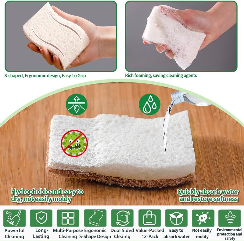 PUCITY Sponges Kitchen Natural Dish Sponge Plant-Based Biodegradable Compostable Cellulose with Coconut Scrubber Sponge Non Scratch Eco Friendly Kitchen sponges for Kitchen Dishes（Pack of 24） - Image 2